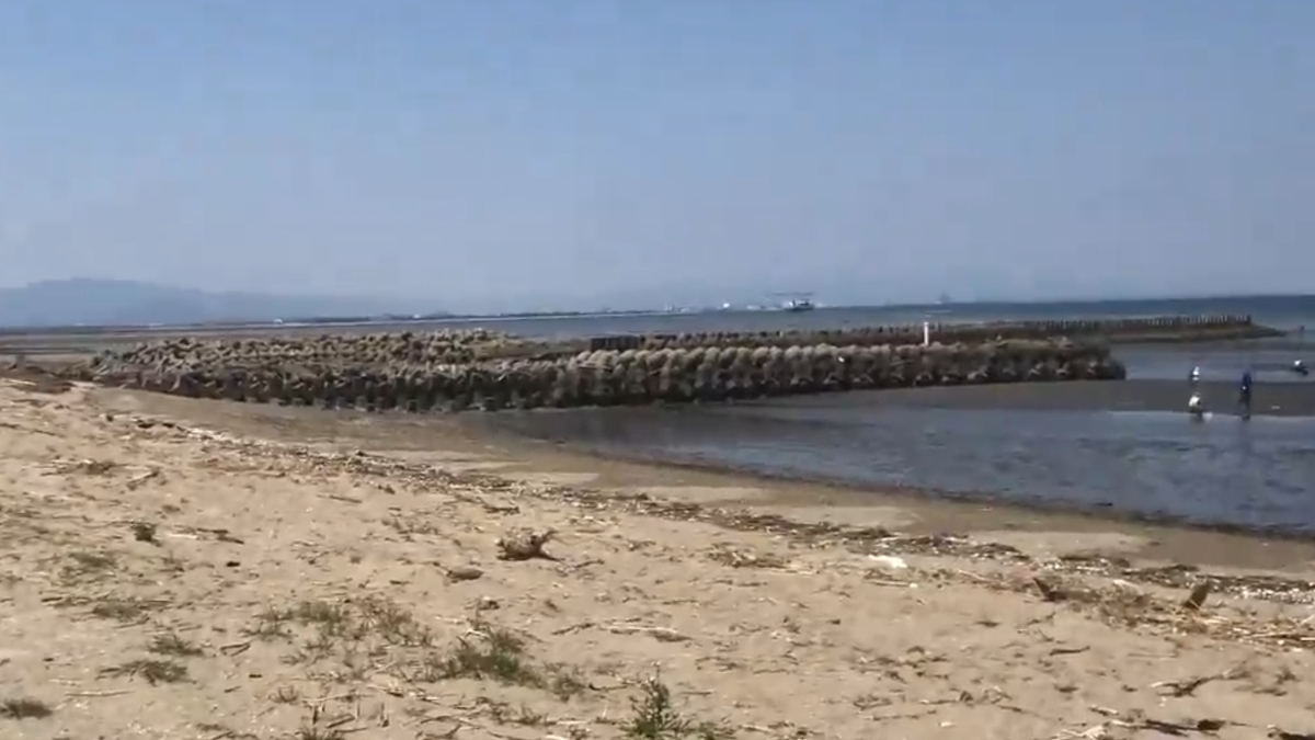 掘らずに大漁の潮干狩り 三重県 松名瀬海岸 海も山も大好きチャンネル