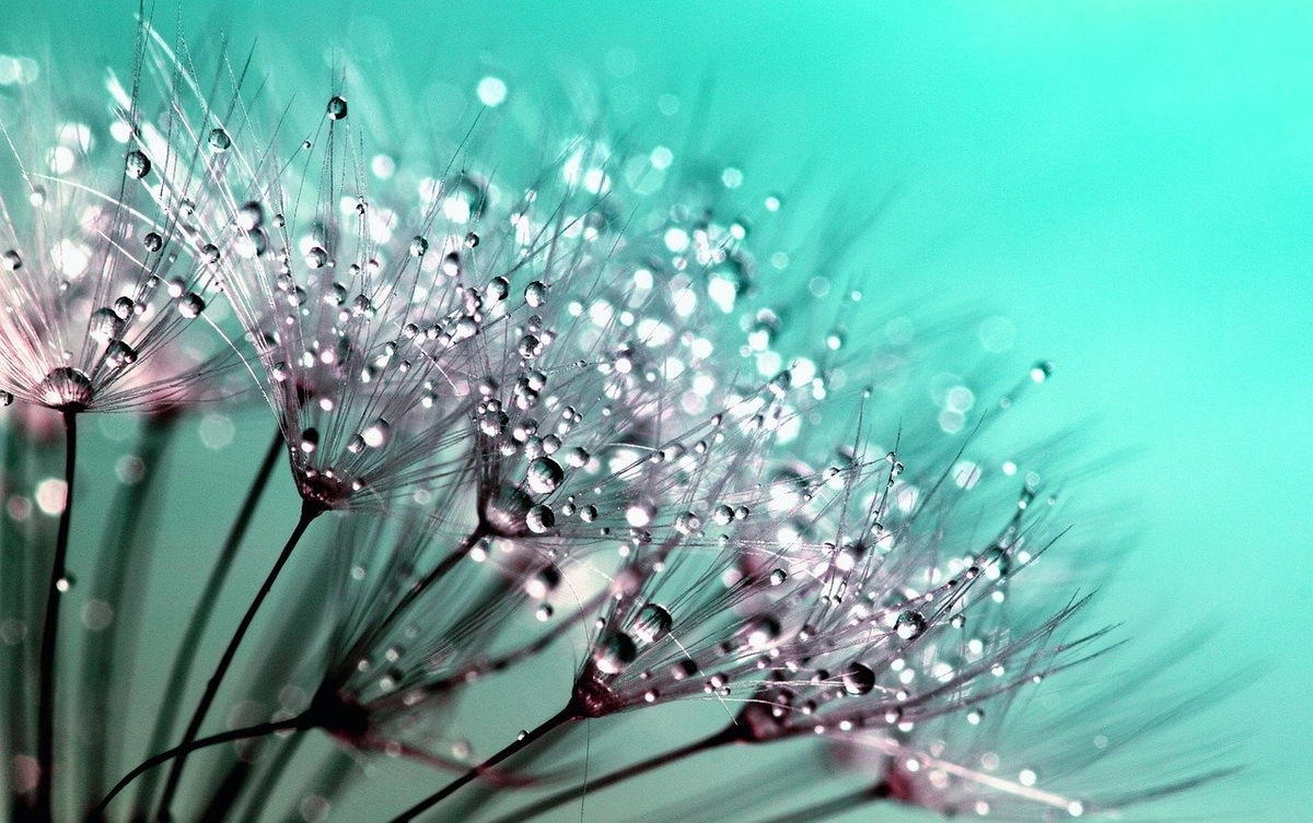 f:id:awakeningcoach:20200903210611j:plain f:id:awakeningcoach:20200903210611j:plain