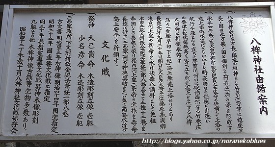 イメージ 7