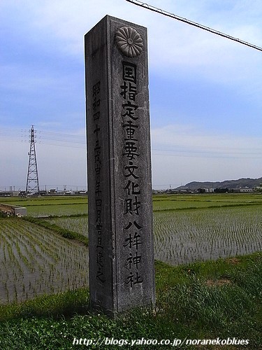 イメージ 9