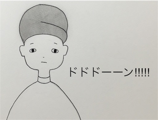 f:id:awarenafubijin:20161230082007j:image