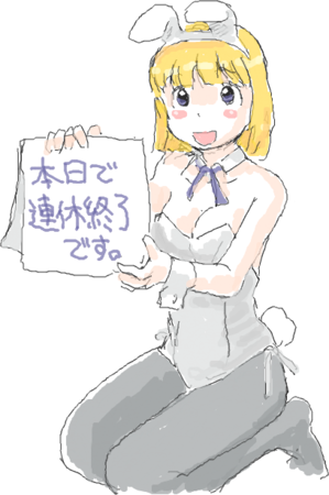 f:id:awatake:20100505112806p:image