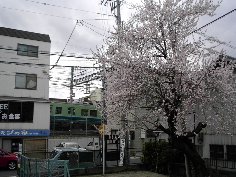 イメージ 2