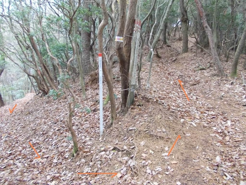 イメージ 2