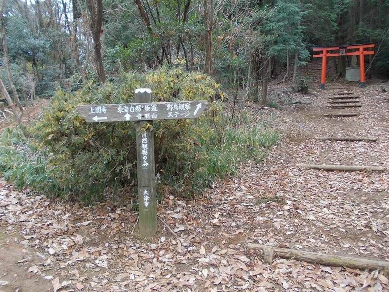 イメージ 5