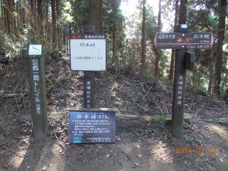 イメージ 6