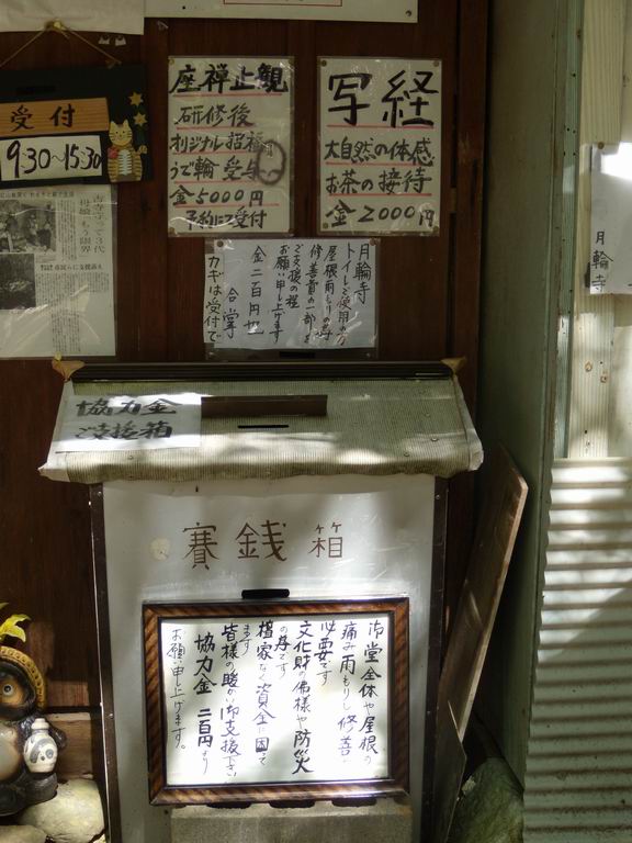 イメージ 6