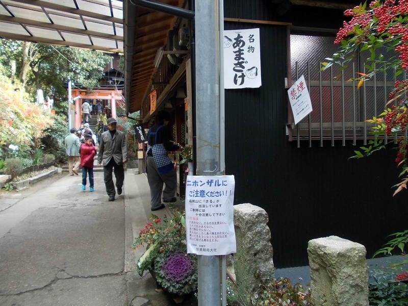 イメージ 4