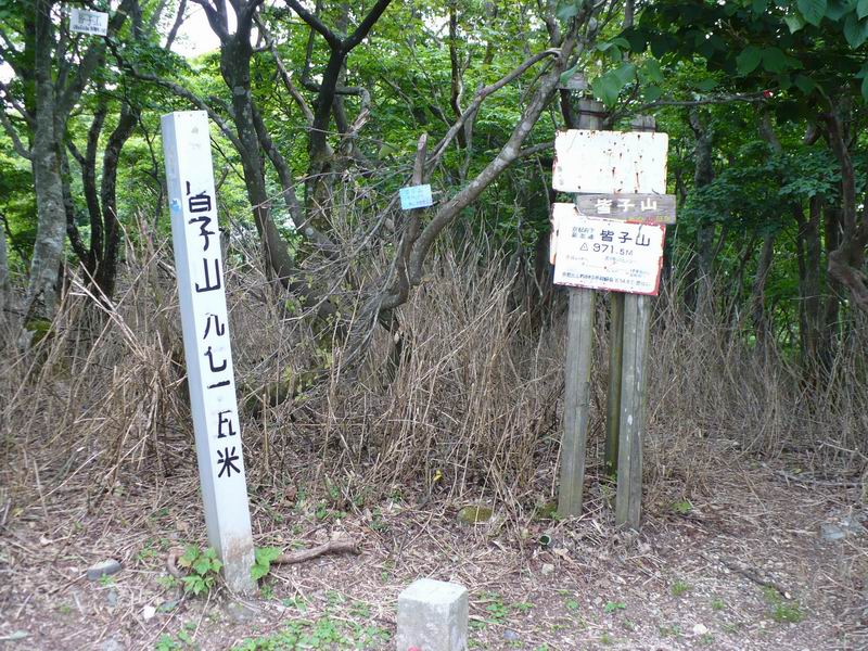 イメージ 7