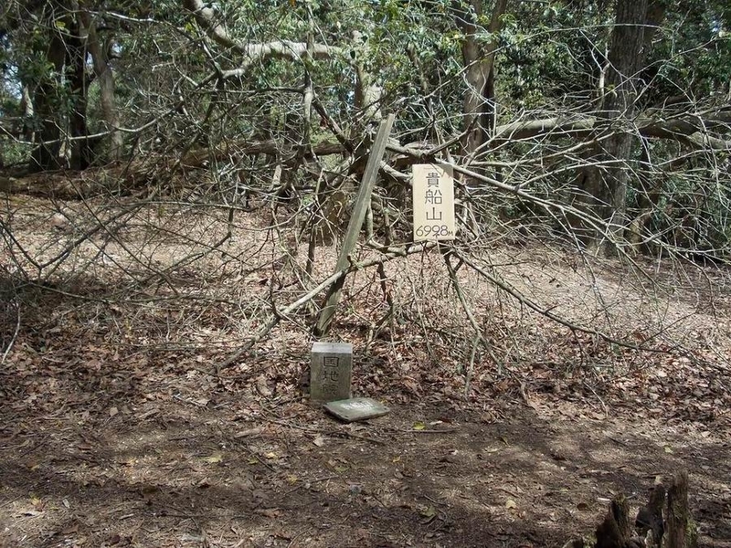 イメージ 7