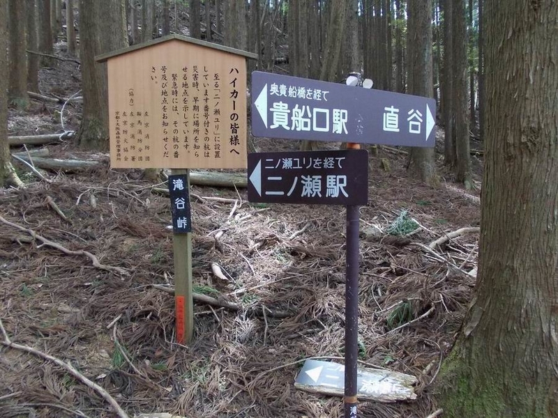 イメージ 8