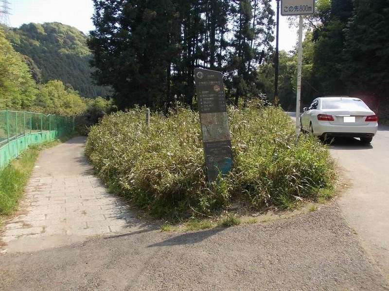 イメージ 8
