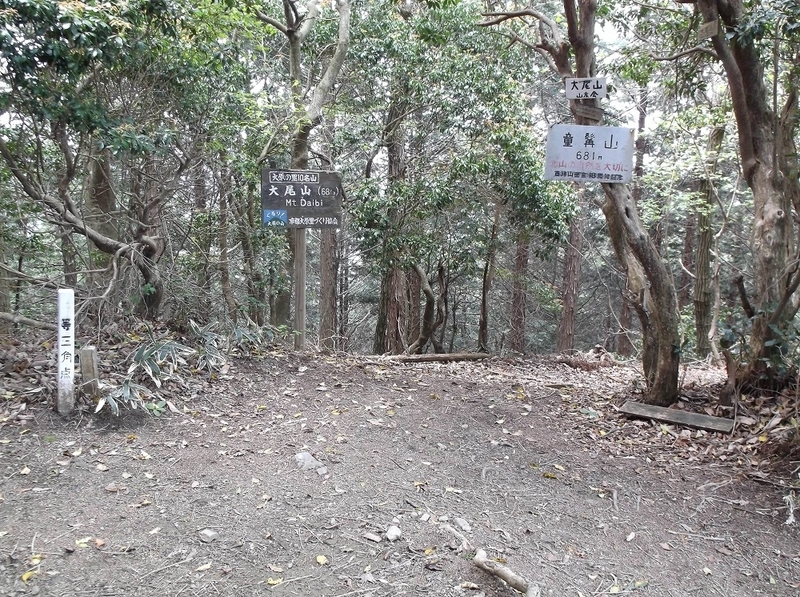 イメージ 4