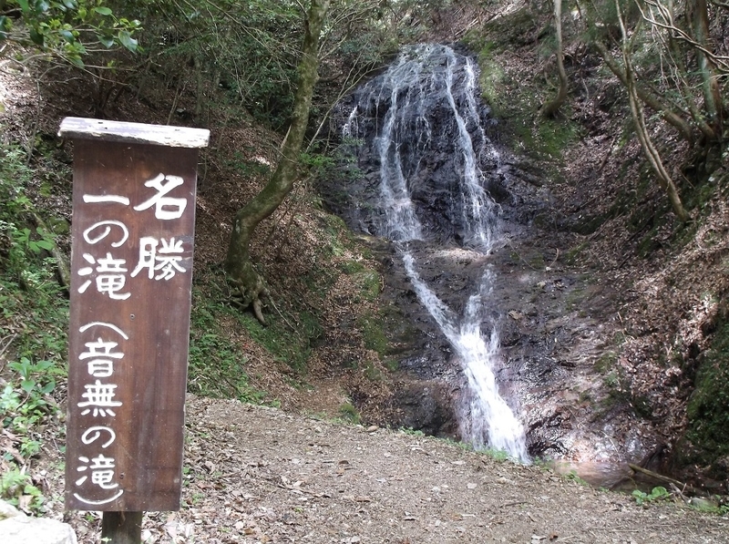 イメージ 6