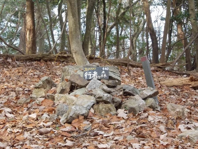イメージ 5