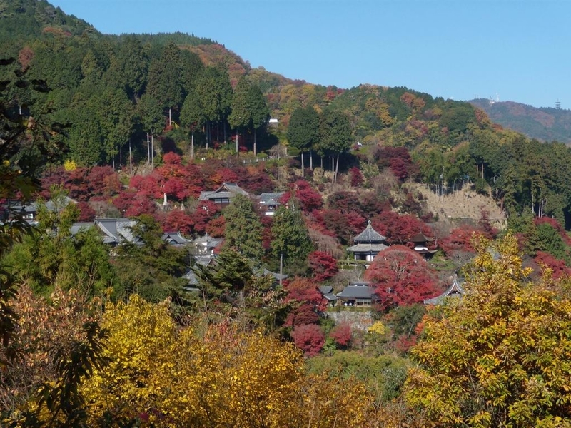 イメージ 2