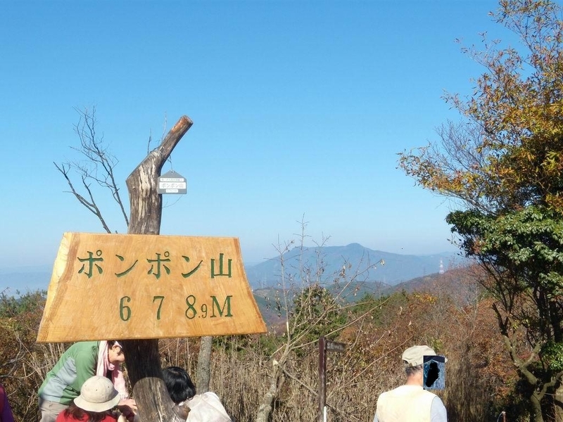 イメージ 6