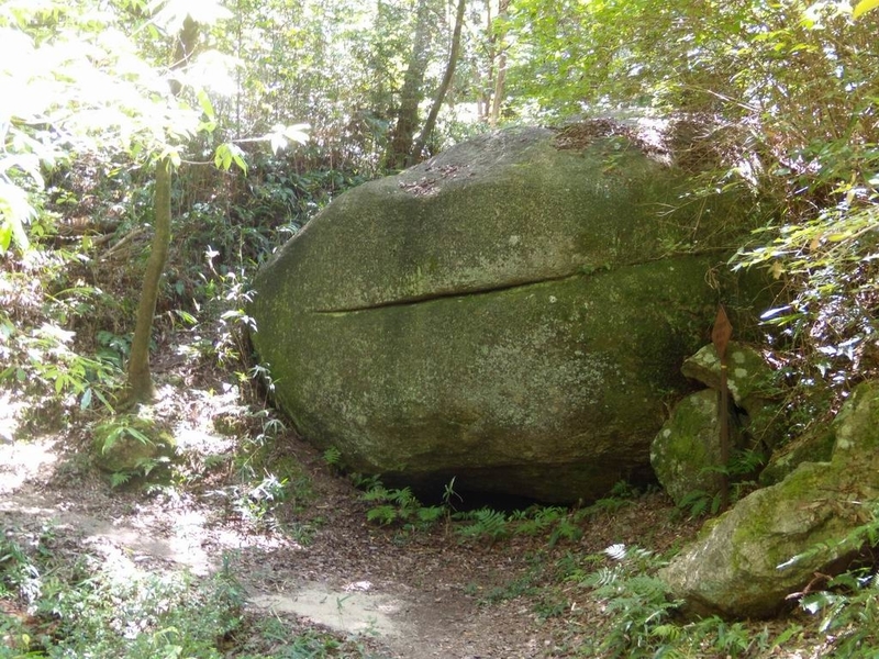 イメージ 3