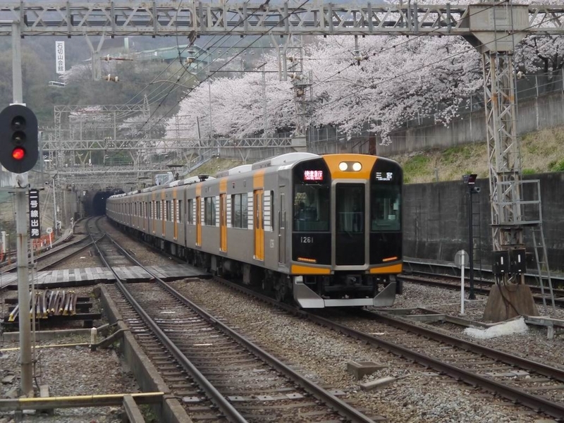 イメージ 2