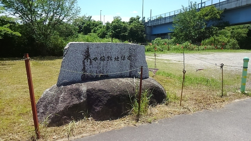 イメージ 6