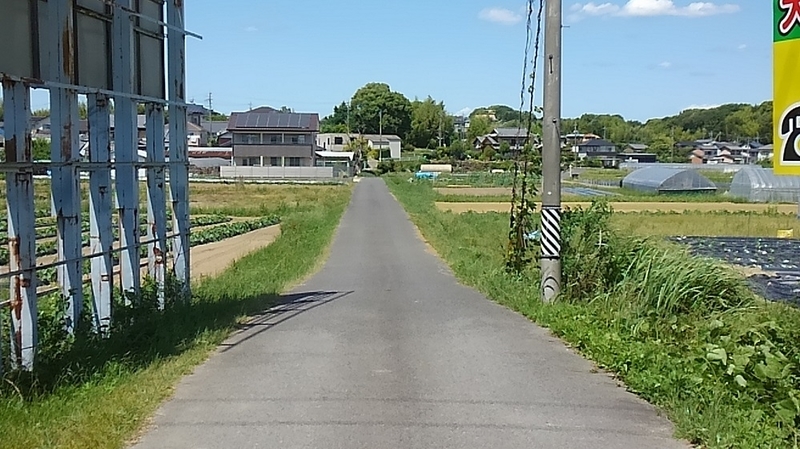 イメージ 7
