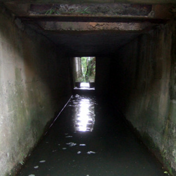 f:id:awatomo:20100920123142j:image f:id:awatomo:20100920123142j:image