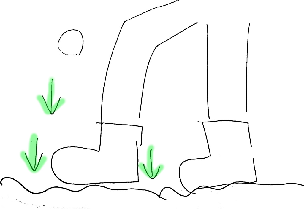 f:id:awawako:20170117235759j:plain f:id:awawako:20170117235759j:plain