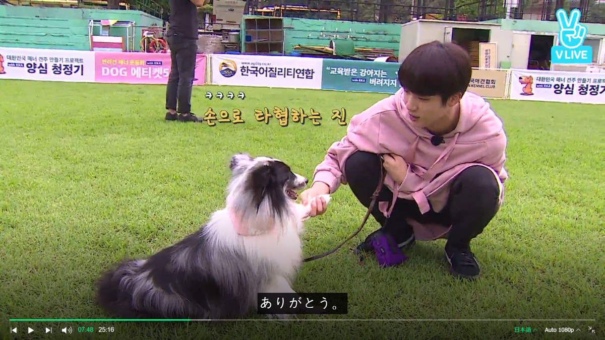 Run Bts Ep 23 感想 ジンと子犬に癒されるはずがいつの間にか泣いてた 海外テレビペン Run Bts Ep 23 感想 ジンと子犬に癒されるはずがいつの間にか泣いてた 海外テレビペン