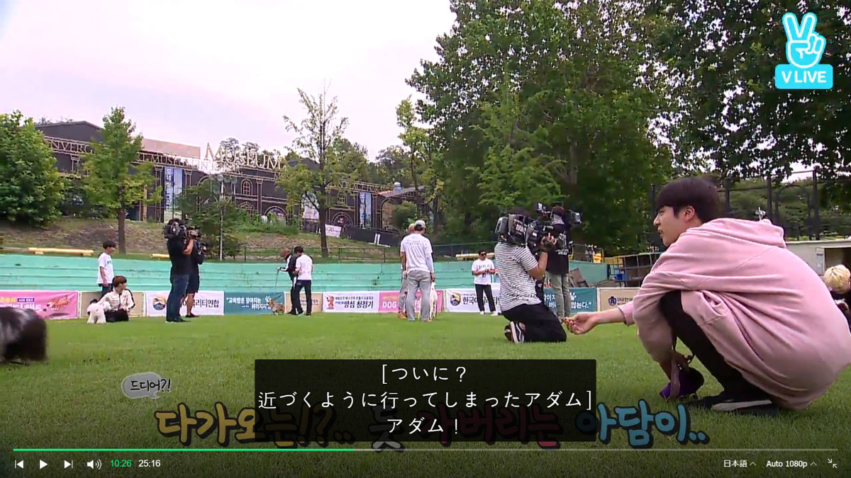 f:id:awawako:20210409111513j:plain