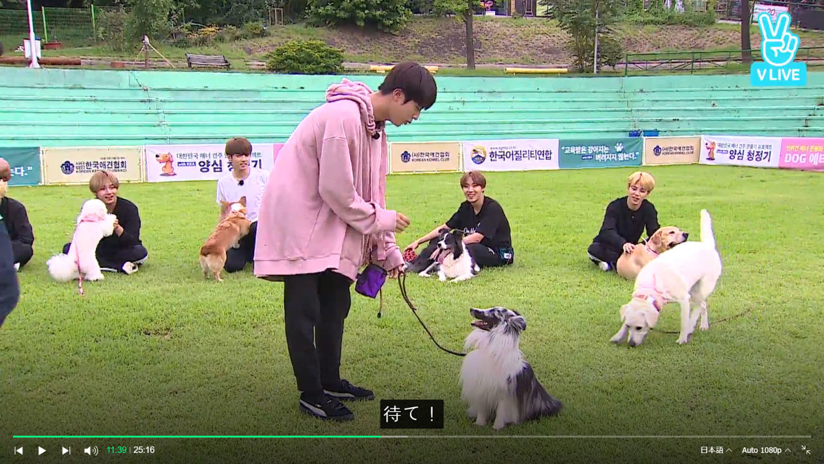 f:id:awawako:20210409112423j:plain