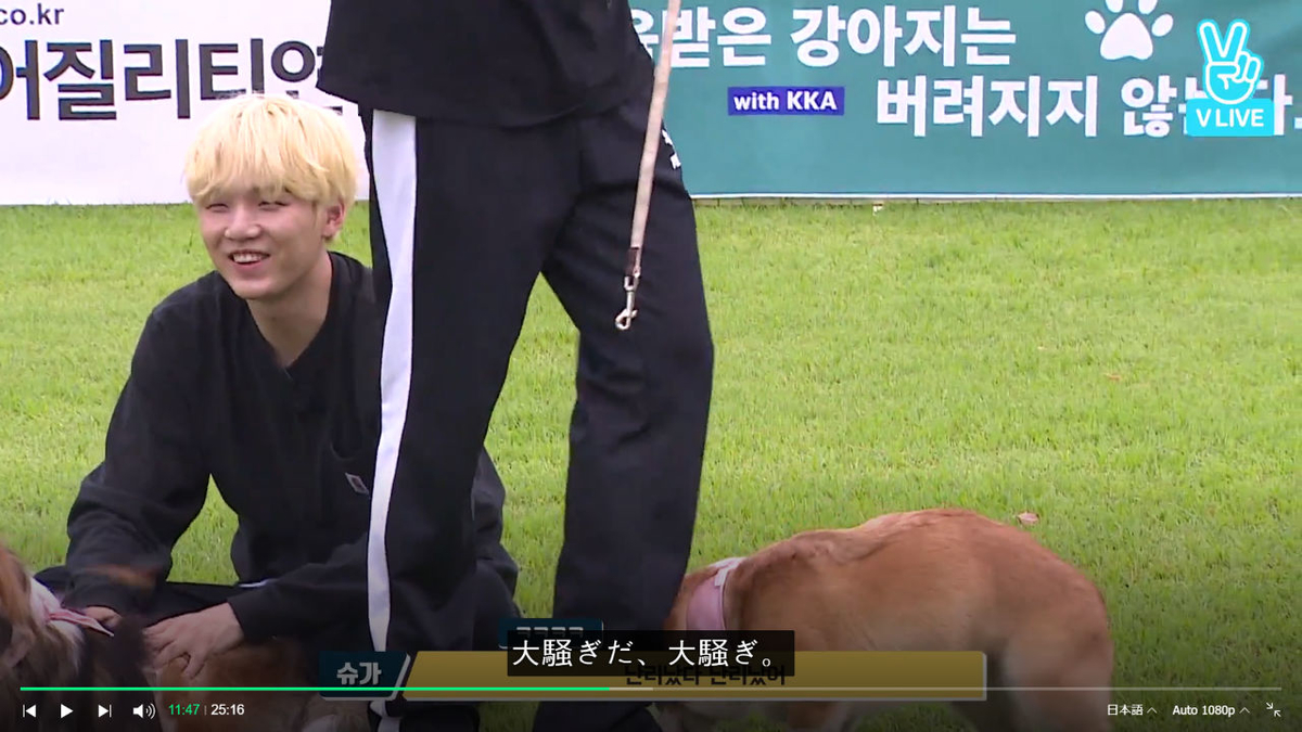 f:id:awawako:20210409112706j:plain