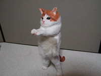 f:id:awayama:20060314234340j:image f:id:awayama:20060314234340j:image