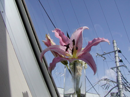 f:id:awayama:20070312101558j:image