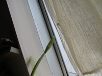 f:id:awayama:20070523020134j:image