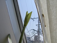 f:id:awayama:20070523020234j:image