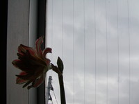 f:id:awayama:20070523020602j:image