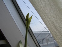 f:id:awayama:20070523020604j:image