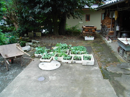f:id:awayama:20070823114856j:image