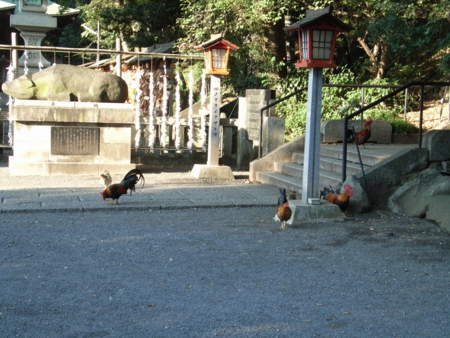 f:id:awayama:20081030151328j:image