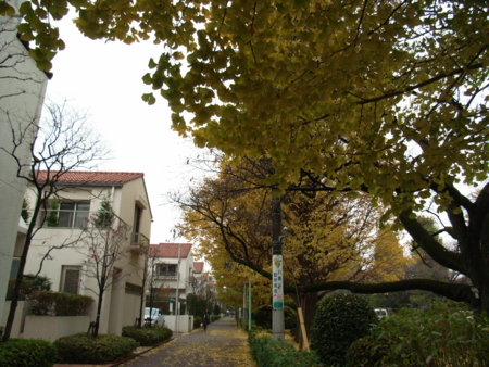 f:id:awayama:20081127154729j:image