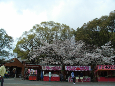 f:id:awayama:20090401135018j:image f:id:awayama:20090401135018j:image