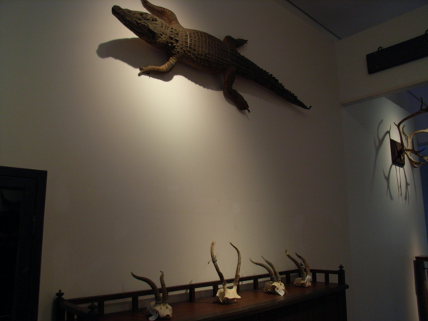 f:id:awayama:20090528161322j:image