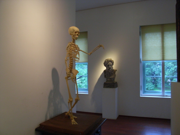 f:id:awayama:20090528161617j:image