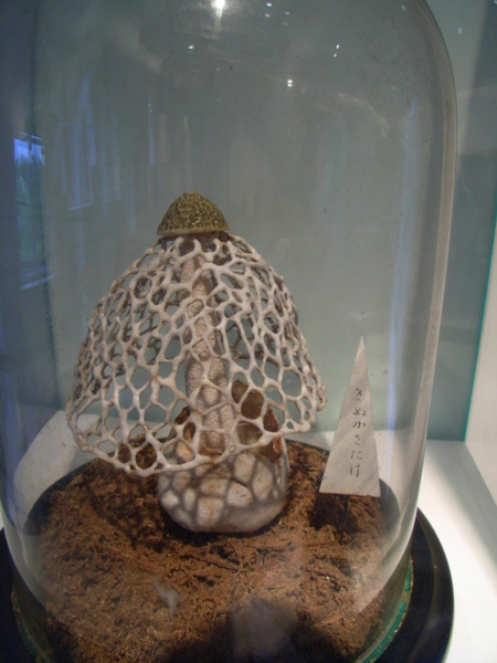 f:id:awayama:20090528161838j:image
