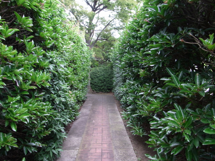 f:id:awayama:20090809123729j:image