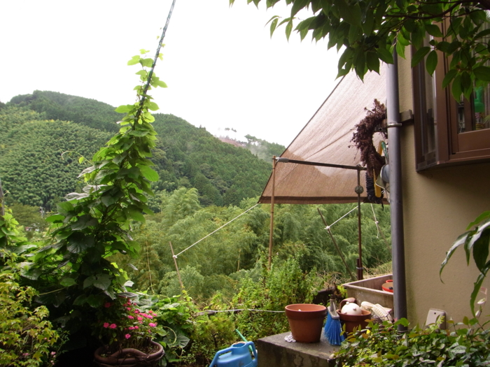 f:id:awayama:20090810122334j:image