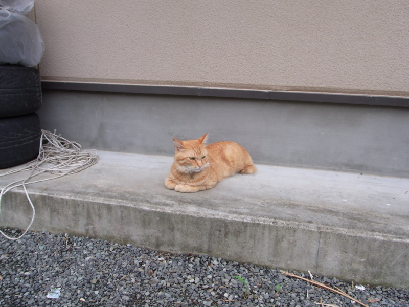 f:id:awayama:20090810163048j:image