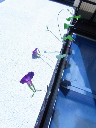 f:id:awayama:20101016104816j:image f:id:awayama:20101016104816j:image