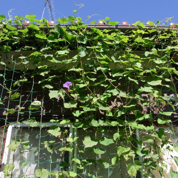 f:id:awayama:20110924094841j:image