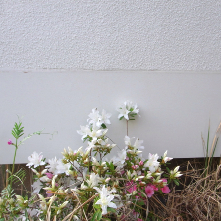 f:id:awayama:20120424165153j:image f:id:awayama:20120424165153j:image